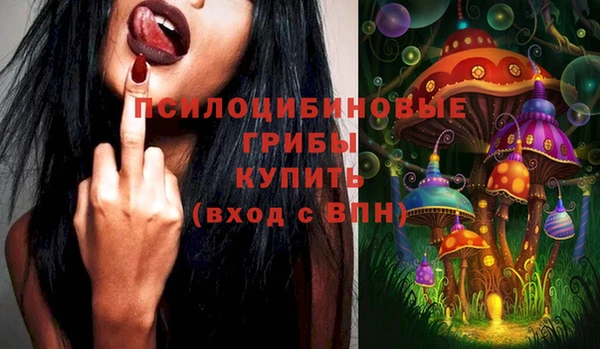 наркотики Белокуриха